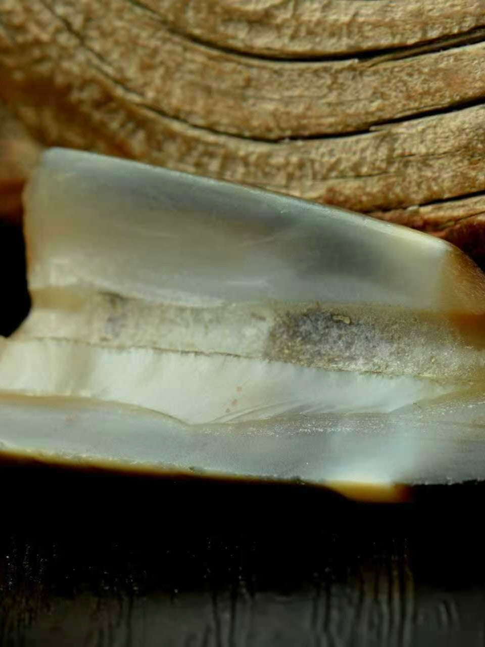 Antique Pure Dzi Bead Fragment From Tibet