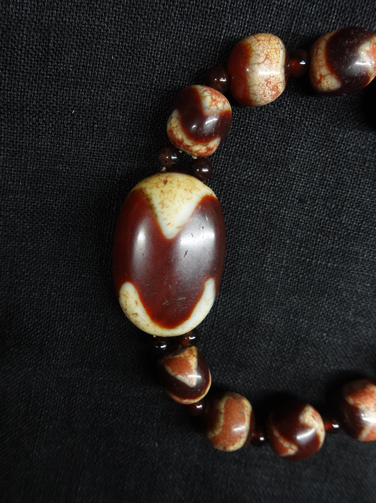Tiger Tooth Bead Flat Bead Bracelet