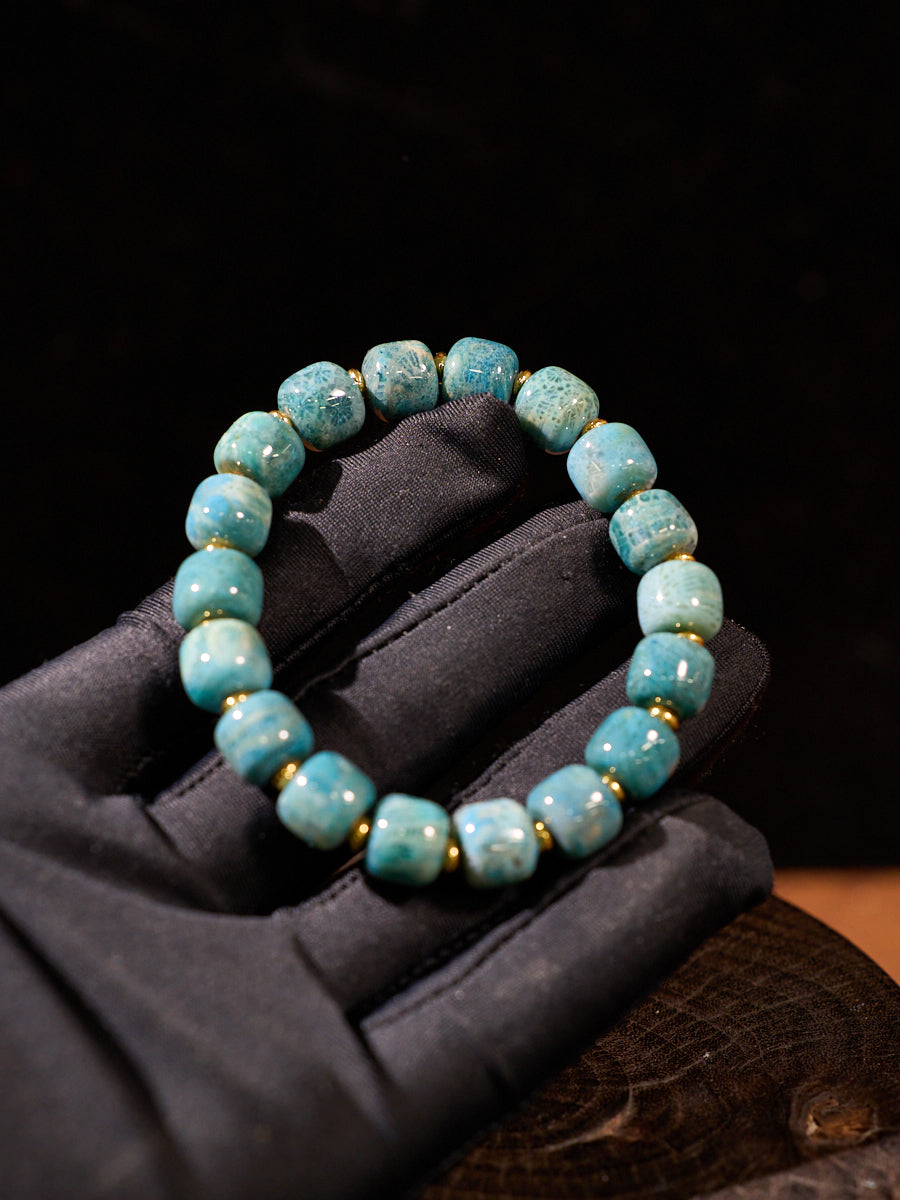 Tibetan Ocean Time Agatized Corale Bracelet