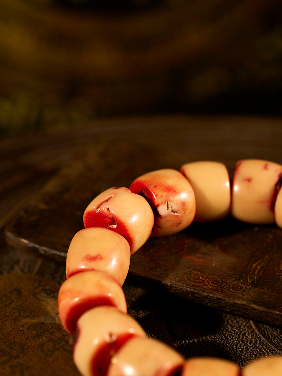 Vital Harmony Sea Bamboo Coral Bracelet