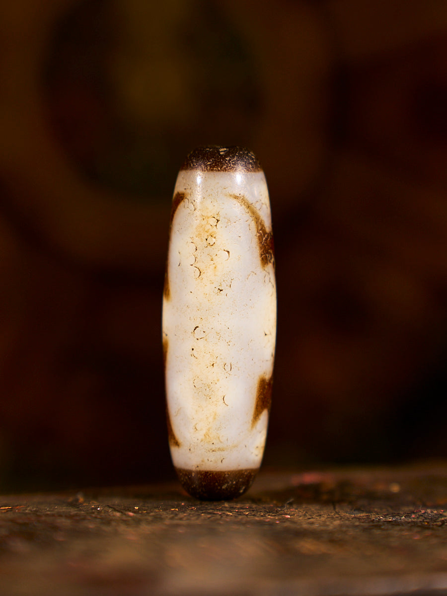 Zhangzhung Era Sacred Gift Vajra Four-Eyed Lunar Agate Dzi Bead