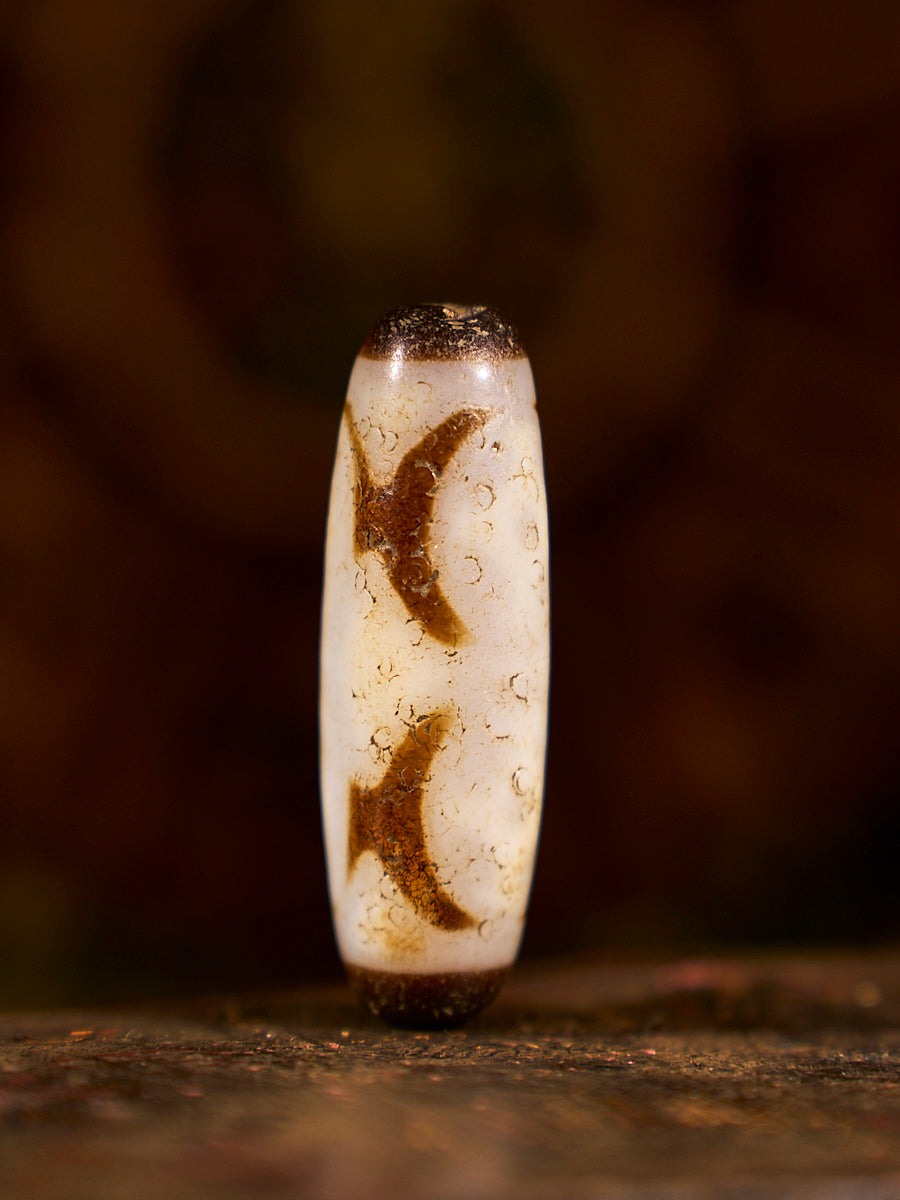 Zhangzhung Era Sacred Gift Vajra Four-Eyed Lunar Agate Dzi Bead