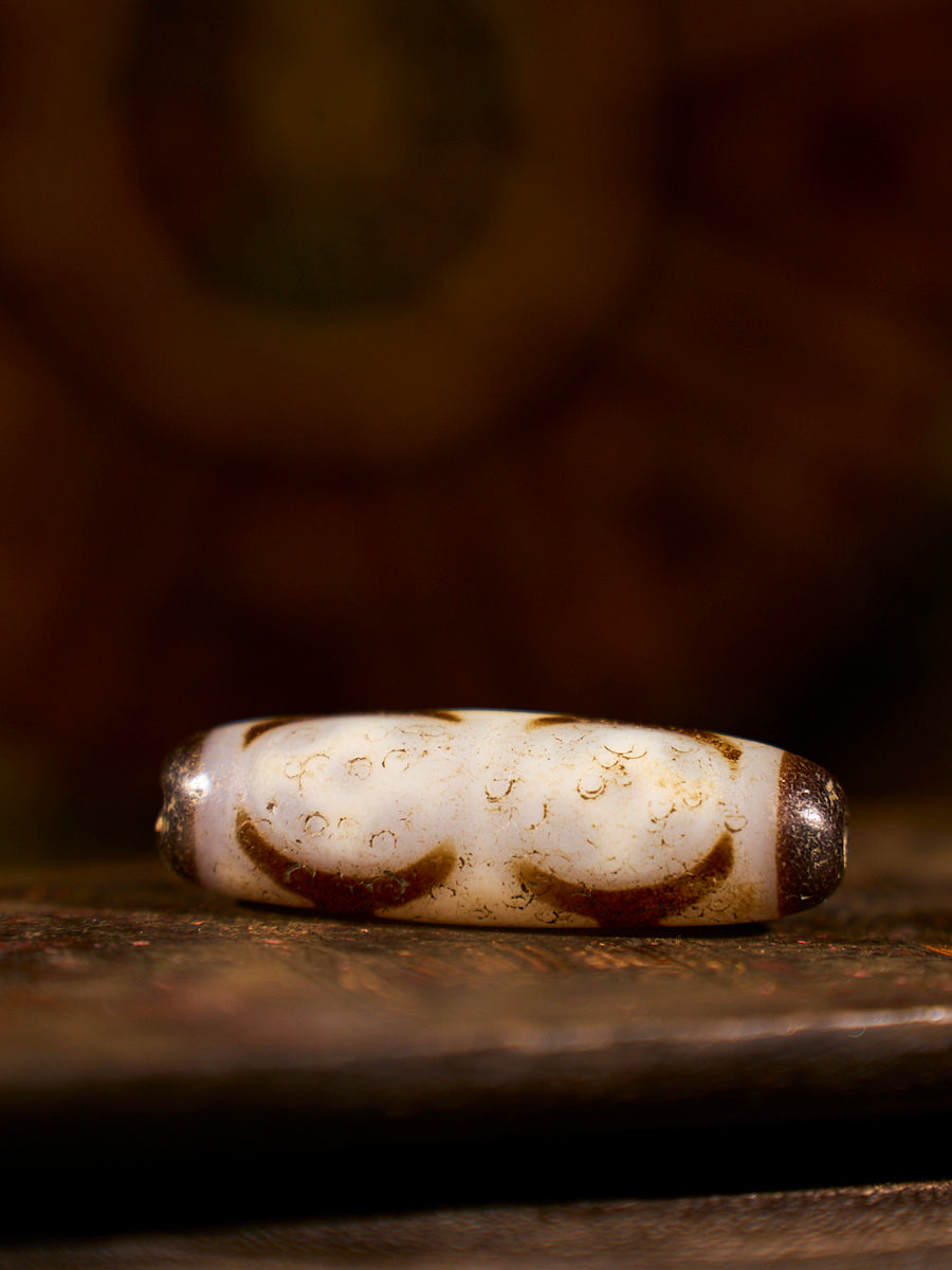 Zhangzhung Era Sacred Gift Vajra Four-Eyed Lunar Agate Dzi Bead