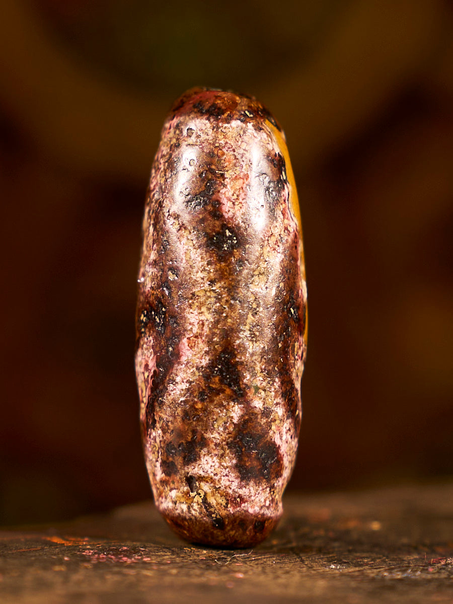 Zhangzhung Era Star of Clarity Two-Eyed Agate Dzi Bead