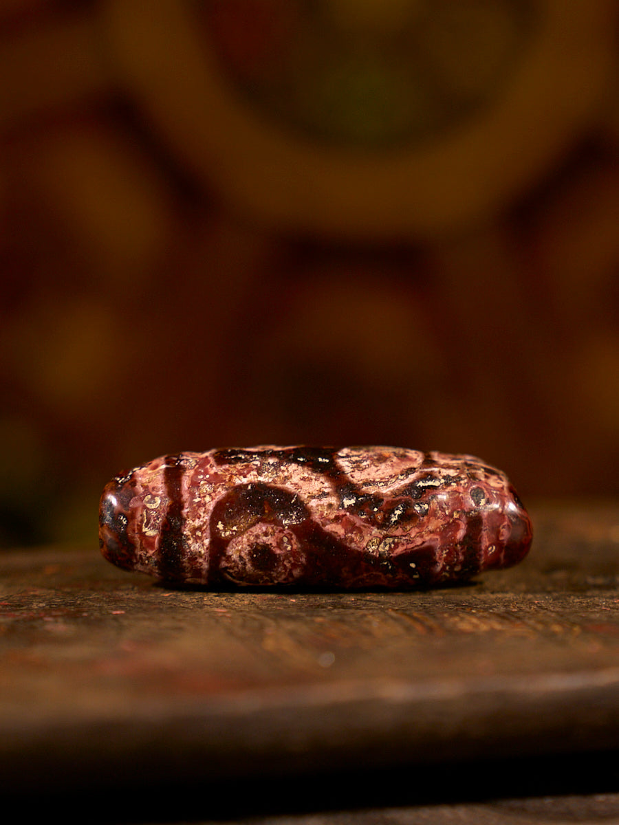 Zhangzhung Era Tibetan Bodhi Peace Four-Eyed Dzi Bead